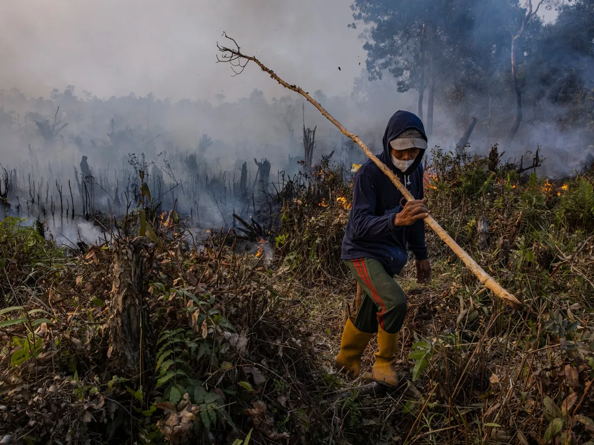 အယ်လ်နီညိုဖြစ်ပေါ်လာနိုင်သဖြင့် ပြင်းထန်သောရာသီဥတုအခြေအနေများအတွက် ကြိုတင်ပြင်ဆင်ထားရန် ကုလသမဂ္ဂသတိပေး