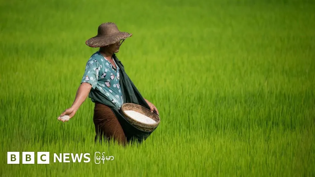 ရက် ၁၀၀ - မြန်မာ့စီးပွားရေးနလံထူဖို့ နေပြည်တော်အစိုးရဘာလုပ်မလဲ