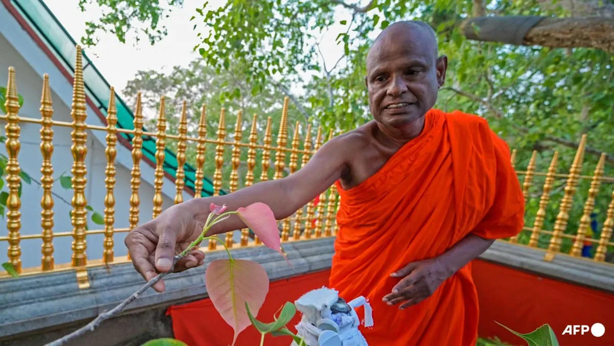 သီရိလင်္ကာနိုင်ငံ၏ ထိပ်တန်းရဟန်းတစ်ပါး ကလေးသူငယ်များအပေါ် လိင်ပိုင်းဆိုင်ရာ အလွဲသုံးစားပြုမှုဖြင့် စွပ်စွဲခံရပြီးနောက် ရာထူးမှရပ်ဆိုင်းခံရ
