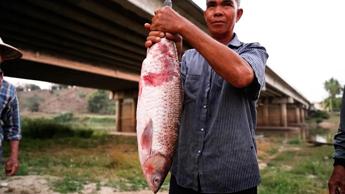 မြန်မာနိုင်ငံရှိ ရှားပါးမြေသားတူးဖော်မှုက ထိုင်းနိုင်ငံ၏ ဆန်နှင့်ငါးကို ခြိမ်းခြောက်နေပုံ