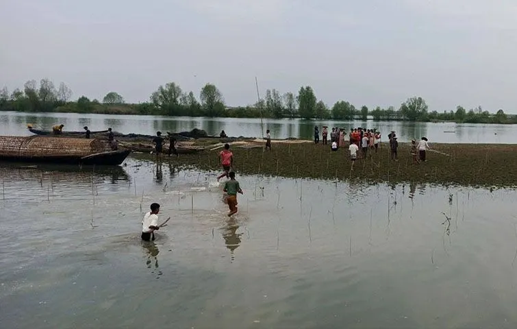 မင်းပြားမြို့နယ်၌ ဒီရေတော ပျက်စီးနေသည့် ကမ်းစပ်တွင် ဗျူးခြေထောက်ပင်များ စိုက်ပျိုး