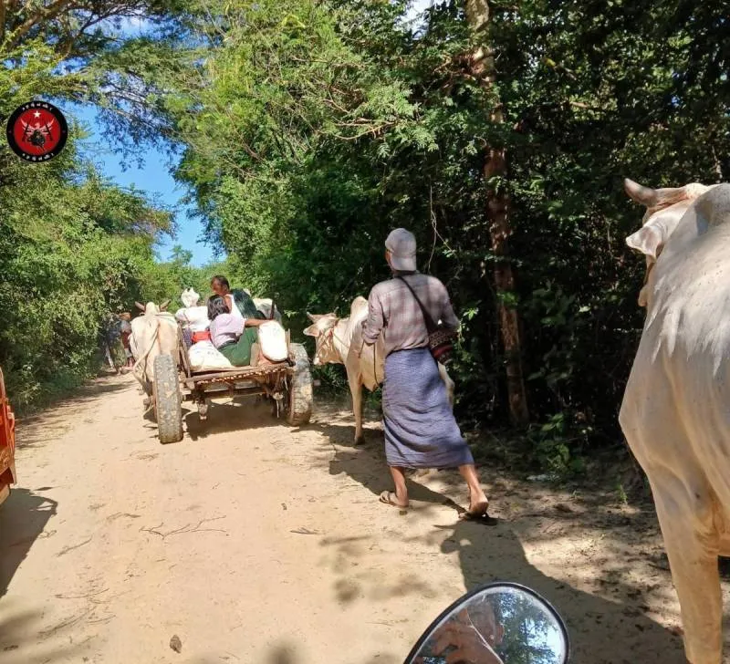 မြစ်ခြေတွင် စစ်အုပ်စုက သတ်ဖြတ်ထားသည့် ရုပ်အလောင်း ၃၀ ကျော် တွေ့ရှိထား - BUR.MIZZIMA.COM