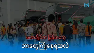 ထိုင်းရောက် မြန်မာသိန်းချီ ရုန်းကန်နေရဆဲ