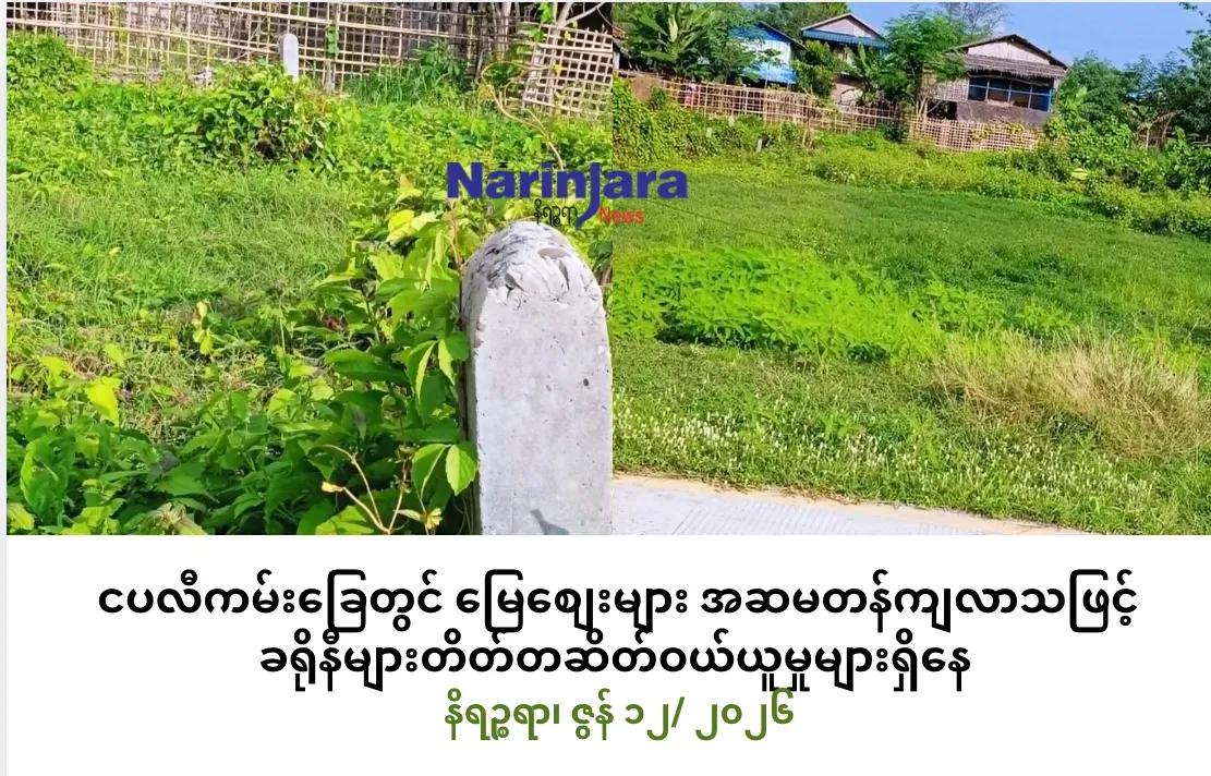 ငပလီကမ်းခြေတွင် မြေစျေးများ အဆမတန်ကျလာသဖြင့် ခရိုနီများတိတ်တဆိတ် ဝယ်ယူမှုများရှိနေ
