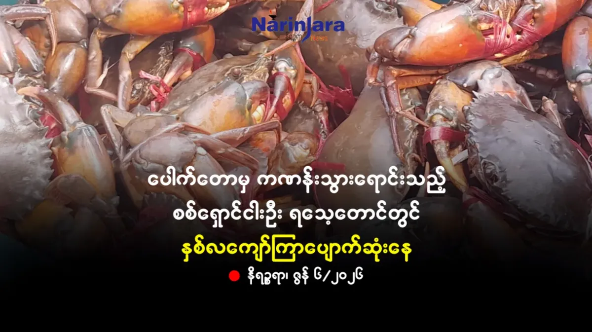ပေါက်တောမှ ကဏန်းသွားရောင်းသည့်စစ်ရှောင်ငါးဦး ရသေ့တောင်တွင် နှစ်လကျော်ကြာပျောက်ဆုံးနေ