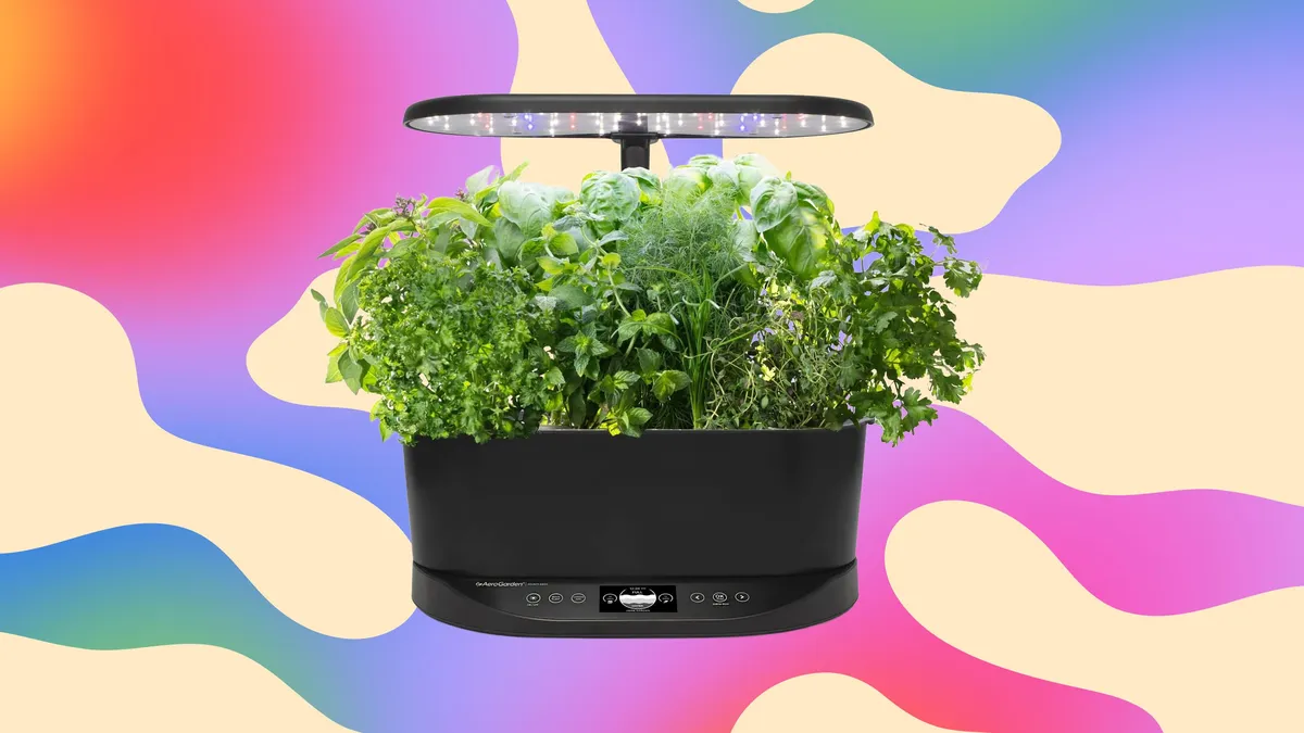 လူတိုင်းကို ကျွန်တော်ညွှန်းချင်တဲ့ Aerogarden ဟာ အခုဆိုရင် ၆၃ ရာခိုင်နှုန်း လျှော့ဈေးနဲ့ ၈၃ ဒေါ်လာပဲ ကျသင့်တော့မှာဖြစ်ပါတယ်